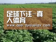 种植基地五(图1)