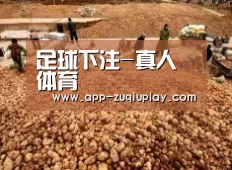 种植基地二
