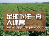 种植基地五