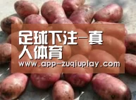 产品展示标题5(图1)